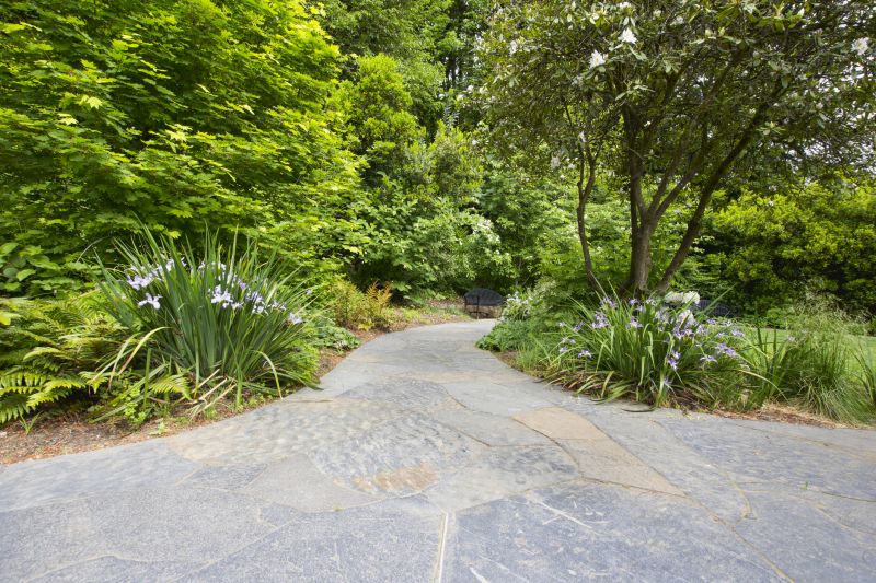 Natural Stone Paver Pathways